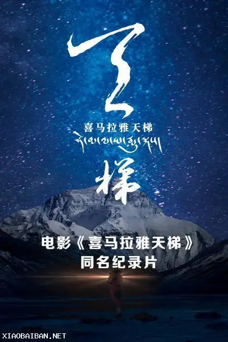 《喜马拉雅天梯》：攀登世界的脊梁，致敬无畏的生命