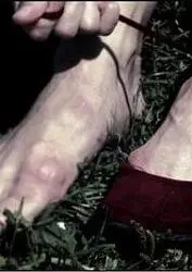 《红鞋子》：黑暗童话下的欲望与救赎，视觉盛宴