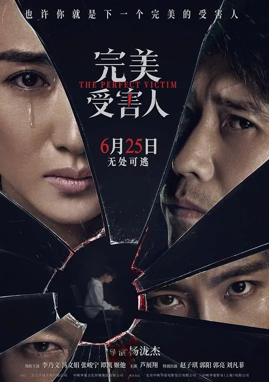 《完美受害人》：悬疑迷局，真相深渊，人性拷问