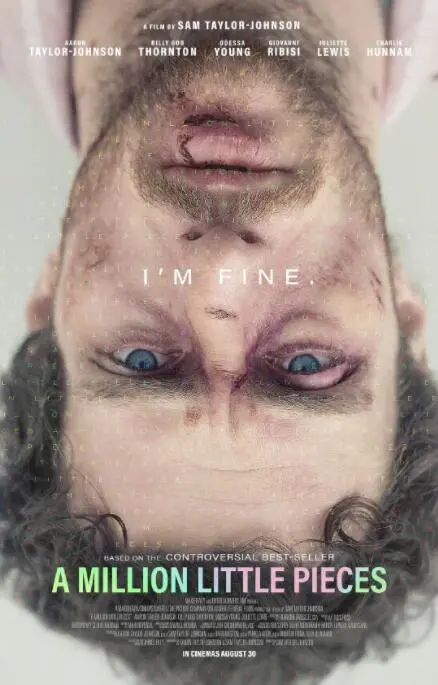 《百万碎片》：瘾君子的救赎之路，破碎人生如何重塑？深度剖析与观后感