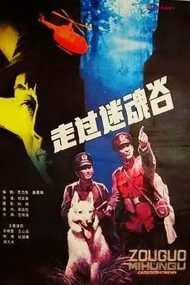 《走过迷魂谷》：迷雾重重的心灵幻境，一段关于救赎与遗忘的纠缠史诗